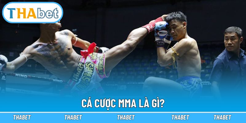 Khái niệm về cá cược MMA