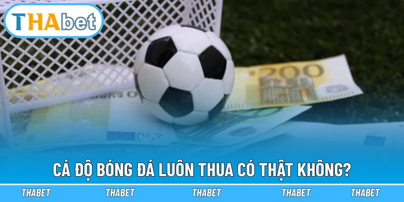 Cá Độ Bóng Đá Luôn Thua - Chuyên Gia Giải Mã Nguyên Nhân 1 Cá độ bóng đá luôn thua là thực tế phũ phàng
