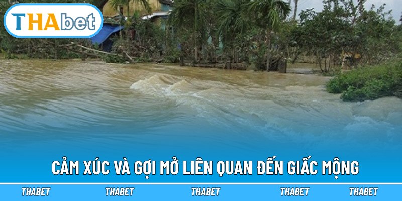 Cảm xúc và gợi mở liên quan đến giấc mộng