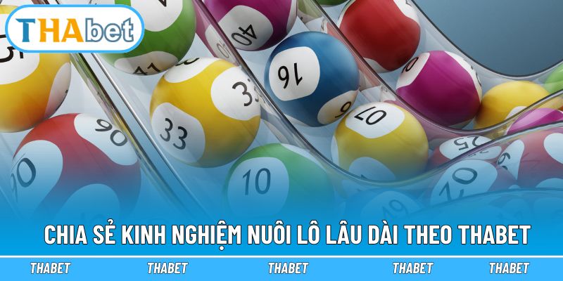 Chia sẻ kinh nghiệm nuôi lô lâu dài theo Thabet
