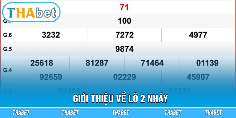 Giới thiệu về lô 2 nháy