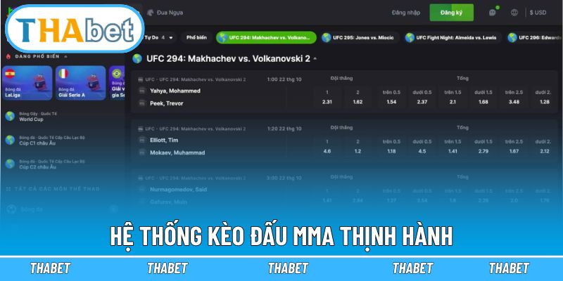 Danh sách các kèo MMA được ưa chuộng nhất