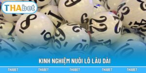 Kinh nghiệm nuôi lô lâu dài