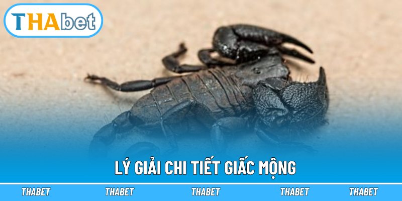 Lý giải chi tiết giấc mộng