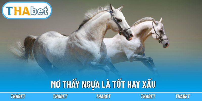 Mơ thấy ngựa là tốt hay xấu