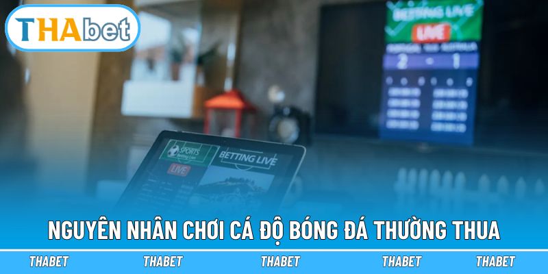 Cá Độ Bóng Đá Luôn Thua - Chuyên Gia Giải Mã Nguyên Nhân 2 Lý giải người chơi cá độ bóng đá thường thua