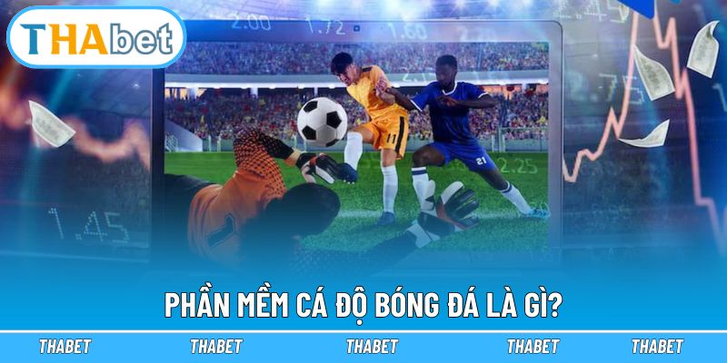 Phần Mềm Cá Độ Bóng Đá - Tiêu Chí Chọn Sân Chơi Uy Tín 2026 1 Giải mã chung về phần mềm cá độ bóng đá