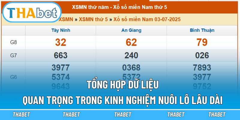 Tổng hợp dữ liệu quan trọng trong kinh nghiệm nuôi lô lâu dài