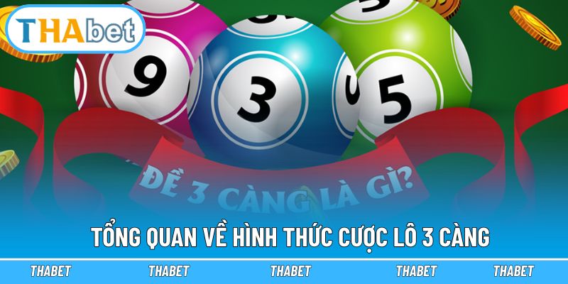 Tổng quan về hình thức cược lô 3 càng