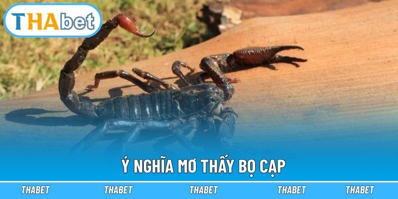 Ý nghĩa mơ thấy bọ cạp